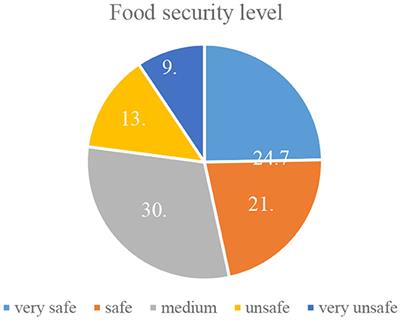 Social path assessment and food security status of rural households in Iran